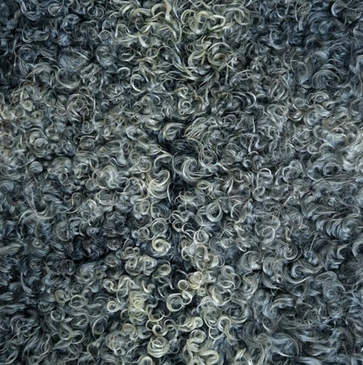 Miss Syberg - Skind